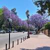 Sevilla