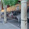 Reitställe in Córdoba