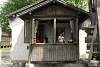 Wuzhen