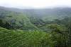 Longsheng