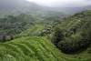Longsheng