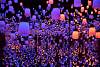 Bild "DSC_5508_klein.JPG"