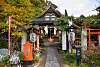Bild "DSC_6068_klein.JPG"