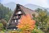 Bild "DSC_6253_klein.JPG"