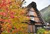 Bild "DSC_6262_klein.JPG"