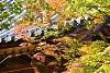 Bild "DSC_6426_klein.JPG"