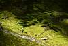 Bild "DSC_6490_klein.JPG"