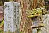 Bild "DSC_7373_klein.JPG"