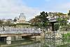 Bild "DSC_7714_klein.JPG"