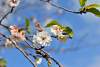 Bild "DSC_7758_klein.JPG"