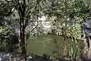 Bild "SAM_8426_small.JPG"