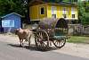 Bild "P1520781.JPG"