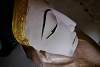 Bild "P1530069.JPG"