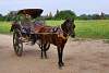 Bild "P1530298.JPG"