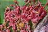 Bild "P1540189.JPG"