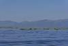 Bild "P1540528.JPG"