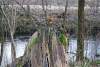 Bild "SAM_6672.JPG"