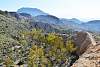 Tabernas Desert