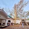 Anuradhapura