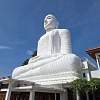 Sri Maha Bodhi Viharaya