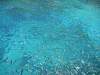 Bild "Thailand200519.JPG"