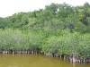 Everglades Nationalpark