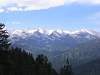Sequoia NP