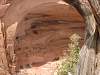 Navajo N.M.