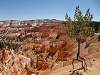 Bryce Canyon NP