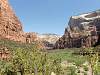 Zion NP