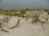 Island Beach State Park