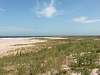 Sandy Hook