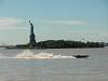 New York, NY