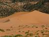 Corel Sand Dune SP