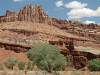Capitol Reef National Park